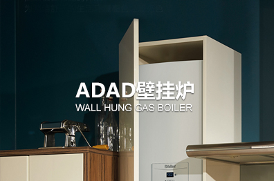 ADAD壁挂炉